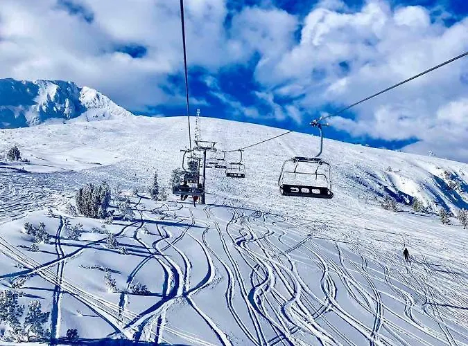 Alpina Luxury * Banya